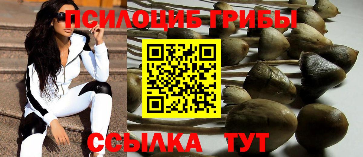 Галлюциногенные грибы Magic Shrooms  где найти наркотики  Богданович  Псилоцибиновые грибы Psilocybine cubensis  Вход с VPN 
