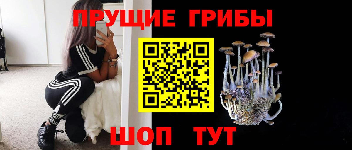 Галлюциногенные грибы ЛСД Богданович